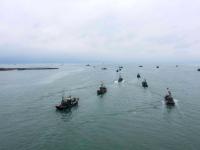 800余艘渔船扬帆，直击西海岸新区最大渔港| 出发，赶海人①