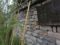 美呆了！这个桃花岛可以承包你的十一假期