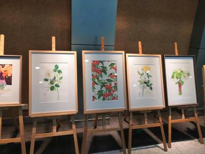 助推乡村振兴！崂山区科创委联合沙子口街道、大石社区启动农民水彩画展！