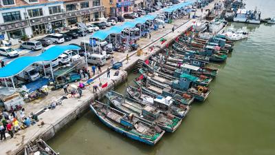 螃蟹、虾虎、舌头鱼……全是海捕的，实拍港东码头开海盛况| 出发，赶海人！②