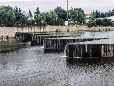 照片OR水墨画？张村河白鹭戏水图来了