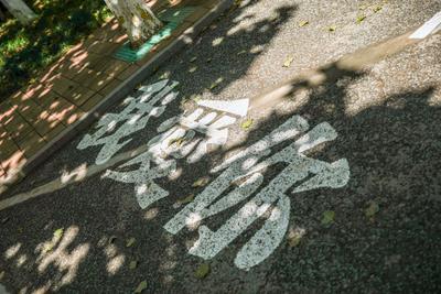 散个步都是满满的爱！实拍太平角公园“爱心马路”