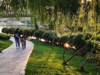 舒适惬意！实拍秋日傍晚李村河小景