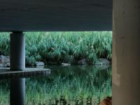 舒适惬意！实拍秋日傍晚李村河小景