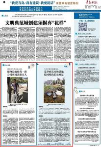 “三我”特刊|回访调查