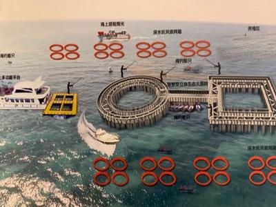 这就是山东 | 海阳：数帆鼓起驶入“智慧海洋”