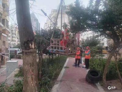 市南老旧小区改造，居民充当“规划师”