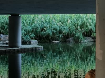 舒适惬意！实拍秋日傍晚李村河小景