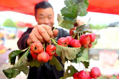 鲜枣、山楂、玉米棒子……实拍秋日乡村大集