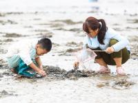青岛的“天空之镜”和“风味人间”，在这儿