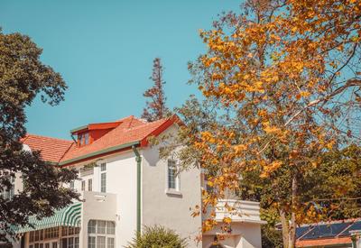 秋天的颜色不止金黄！这份壁纸请收好|云游青岛