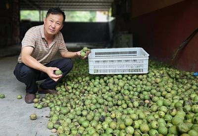 “核”你一起敲开致富门