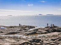 像撒了把碎银子！实拍青岛秋日绝美海岸|云游青岛