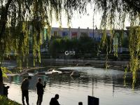 舒适惬意！实拍秋日傍晚李村河小景