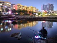 秋风里的惬意 李村河成了夜钓好去处