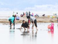 青岛的“天空之镜”和“风味人间”，在这儿