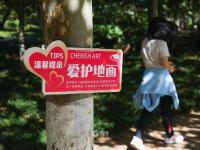 散个步都是满满的爱！实拍太平角公园“爱心马路”