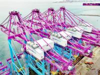 粉色岸桥即将上线营业！中国制造现身卡塔尔港口