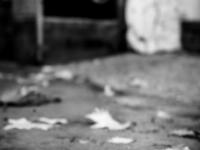 萧萧秋色送英雄！今天，一整座城为一位交警心痛