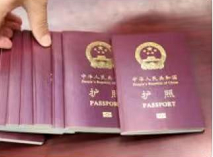 中方介入协调美高校强行劝退中国留学生：很多学生压根就没收到提醒