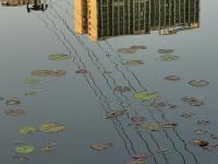 舒适惬意！实拍秋日傍晚李村河小景