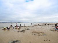 青岛的“天空之镜”和“风味人间”，在这儿