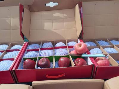 周末去崂山区买正宗甘肃陇南礼县特产！苹果、花椒、蜂蜜、面条、中药材……