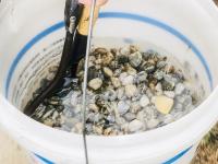 青岛的“天空之镜”和“风味人间”，在这儿