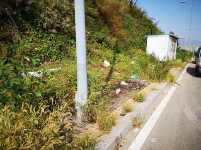 记者在现场｜人行道长荒草、堆垃圾  市民盼整治