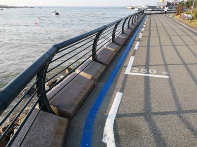 记者在现场·回访｜临海栏杆修复如新 市民凭栏观海拍照