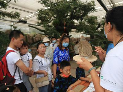 特色文明旅游倡导活动集聚人气！4日青岛72家A级景区接待人数47.36万人