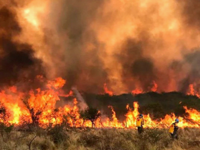 阿根廷山火肆虐：过火面积超3万公顷，已致3人死亡