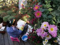 秋日气氛组上线！中山公园赏菊正当时