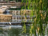 舒适惬意！实拍秋日傍晚李村河小景