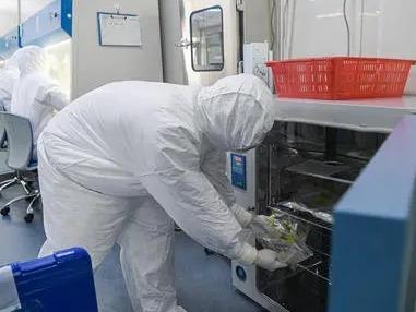 日本发现能传染人类新病毒：可致39度高烧，至少7人感染