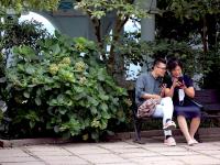 登一座信号山，看半个青岛城|旅行便利贴③