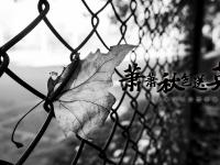 萧萧秋色送英雄！今天，一整座城为一位交警心痛