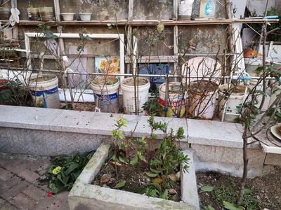 记者在现场|小区绿地被圈 位置隐蔽杂物满地