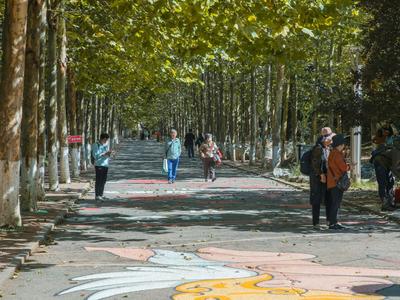 散个步都是满满的爱！实拍太平角公园“爱心马路”