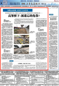 曝光台|高架桥下：被遗忘的角落？