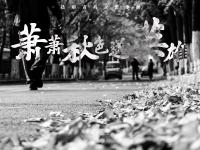 萧萧秋色送英雄！今天，一整座城为一位交警心痛