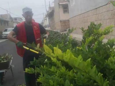 “看见我这个老头子都在为创城而努力，年轻人也就不好意思做出不文明行为了”