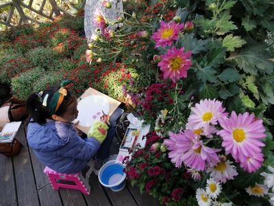 秋日气氛组上线！中山公园赏菊正当时