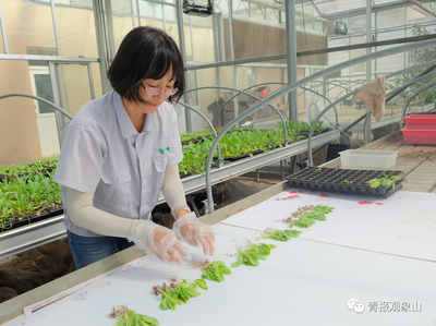 各个“身怀绝技”！青岛首次自主评审这一专技岗，18位行业领军人才“尝鲜”