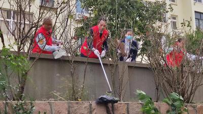 清扫卫生、助农秋收……青岛志愿者忙碌在田间街头，传递城市文明