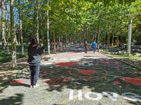 散个步都是满满的爱！实拍太平角公园“爱心马路”