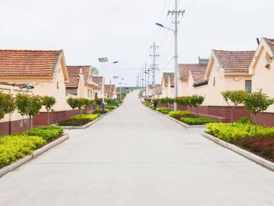 胶州：百村千灯照万户 路灯点亮村民心