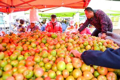鲜枣、山楂、玉米棒子……实拍秋日乡村大集