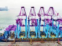 粉色岸桥即将上线营业！中国制造现身卡塔尔港口