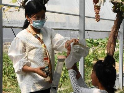 平度：近郊游升温，假期旅游市场平稳有序